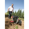 PUBERT ECOMAX 55P C2 EG