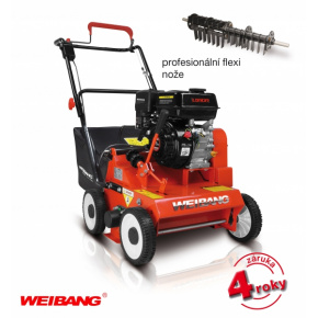 WEIBANG WB 384 RC