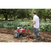 PUBERT VARIO 55P C3