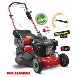 WEIBANG WB 456 SC 6in1