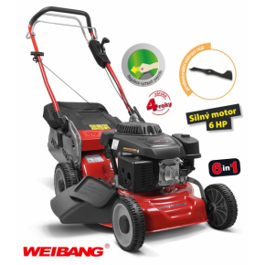 WEIBANG WB 456 SC 6in1