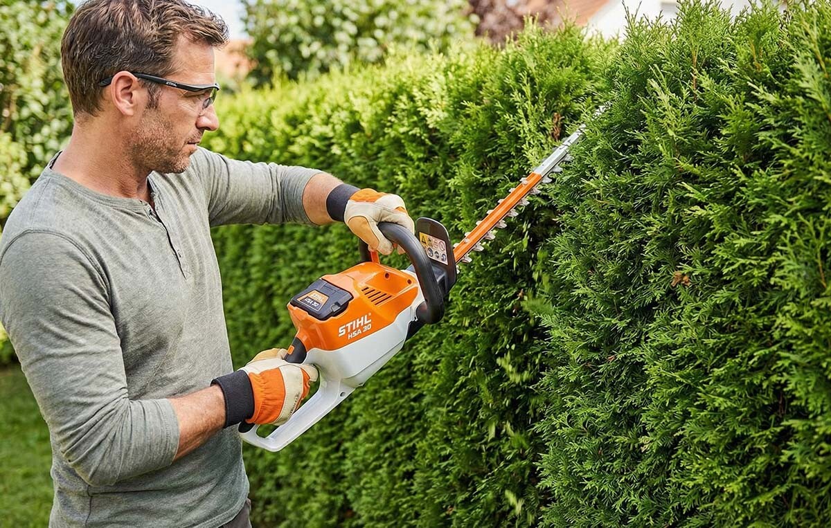 jak stříhat živý plot